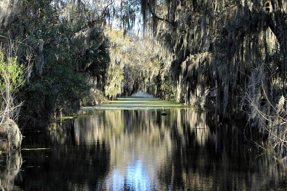 Circle B Bar Reserve in Lakeland, FL